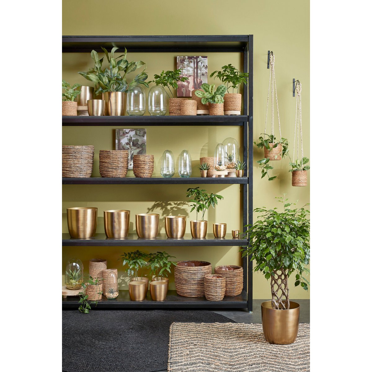 Flowerpot inside Alano Gold