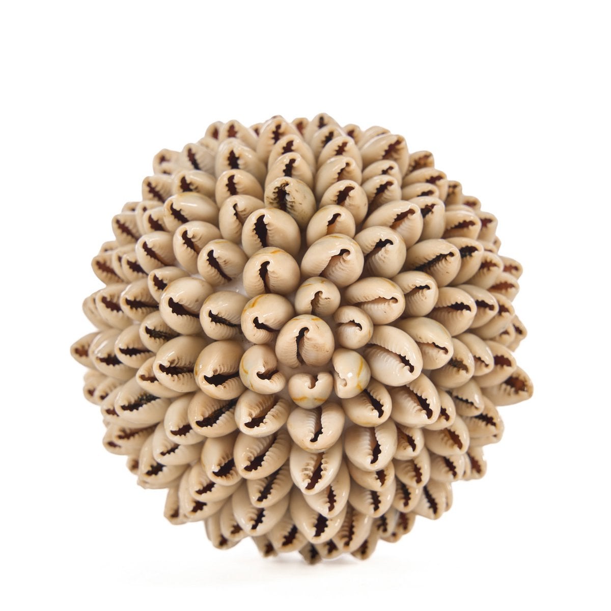 The Oluolu Shell Ball - S