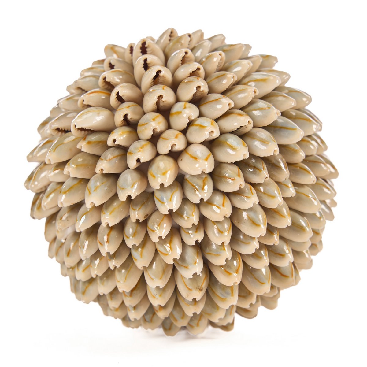 The Oluolu Shell Ball - M