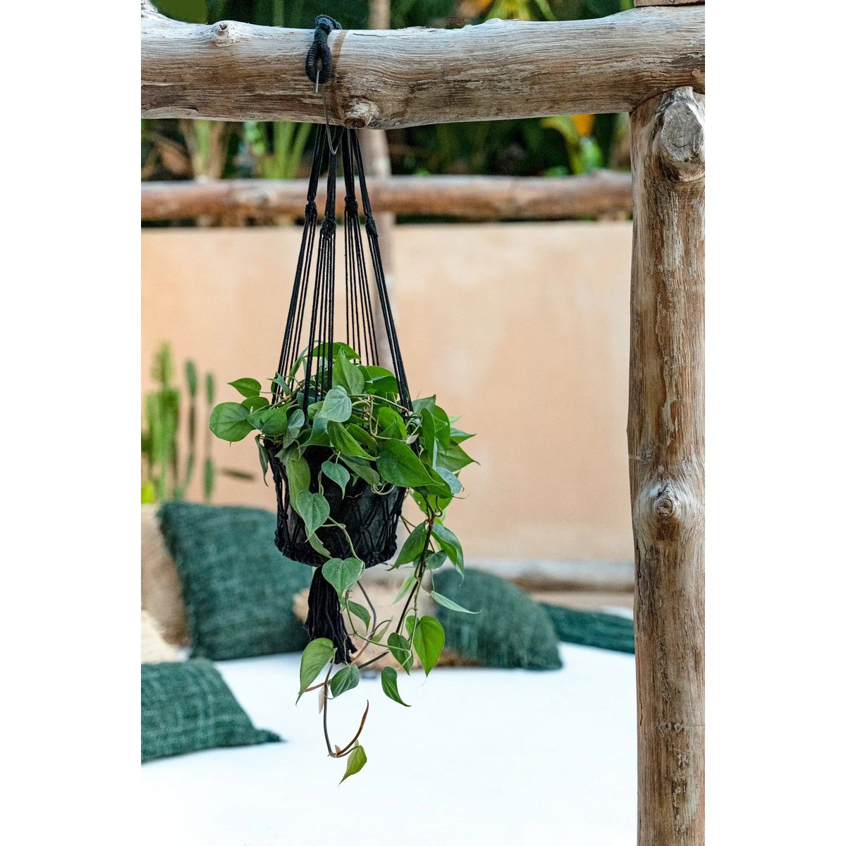 The Macrame Plant Holder - Black - S