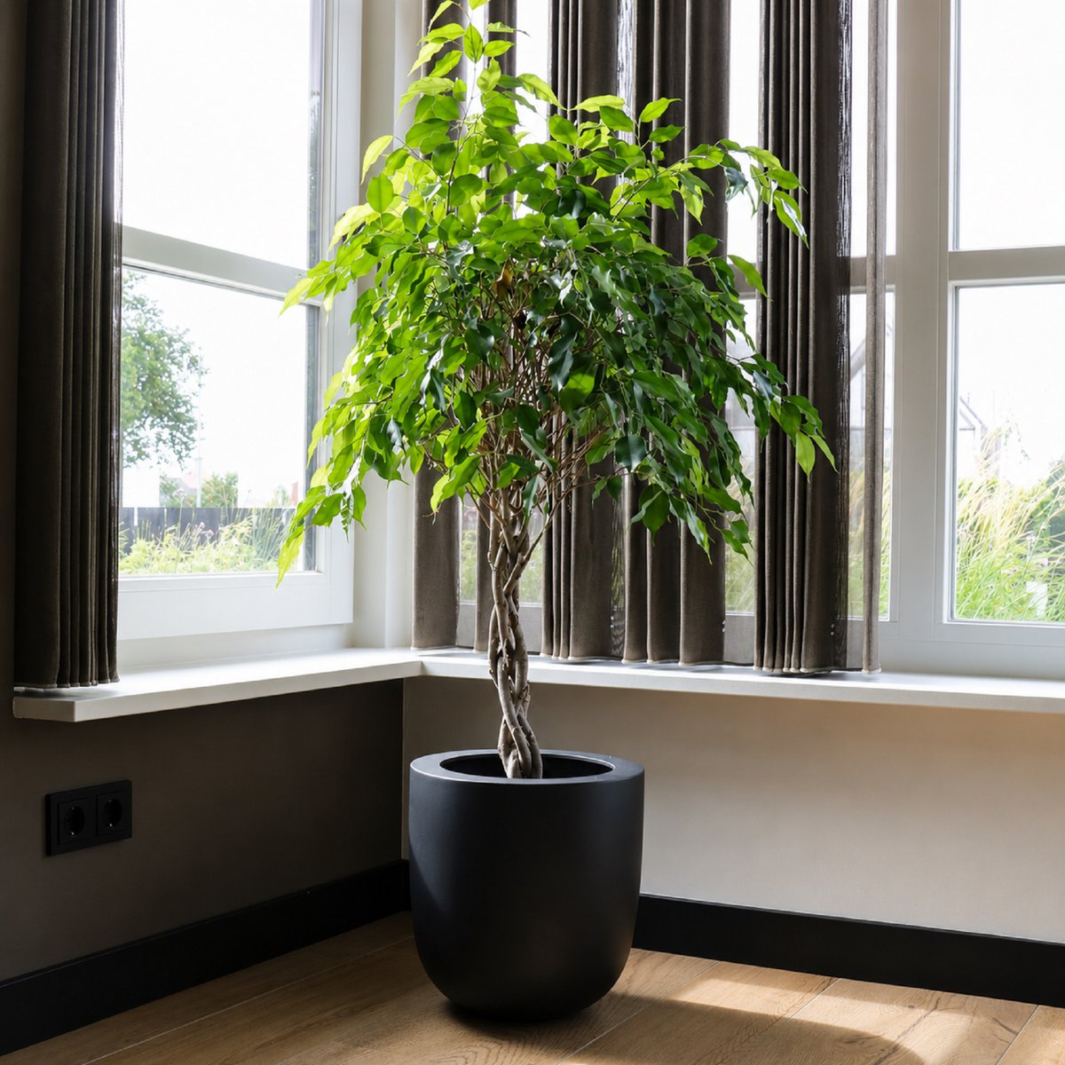 Planter - Ducos big black
