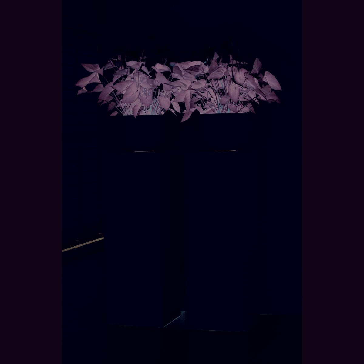 Column/planter - Pearl Shiny White