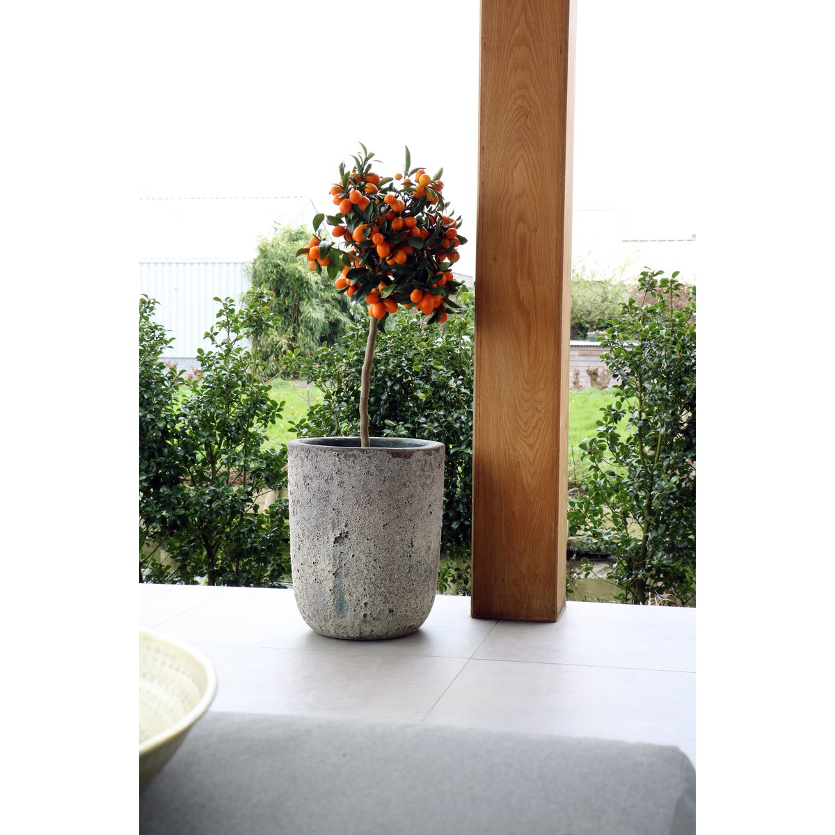 Plantenpot - Fuji oceanic coral set Ø36/26 x H45/35 cm (set van 2 stuks)