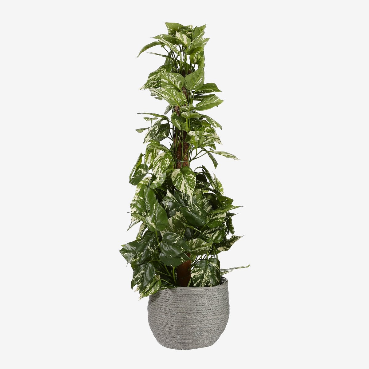 Plant basket set Jorck Gray