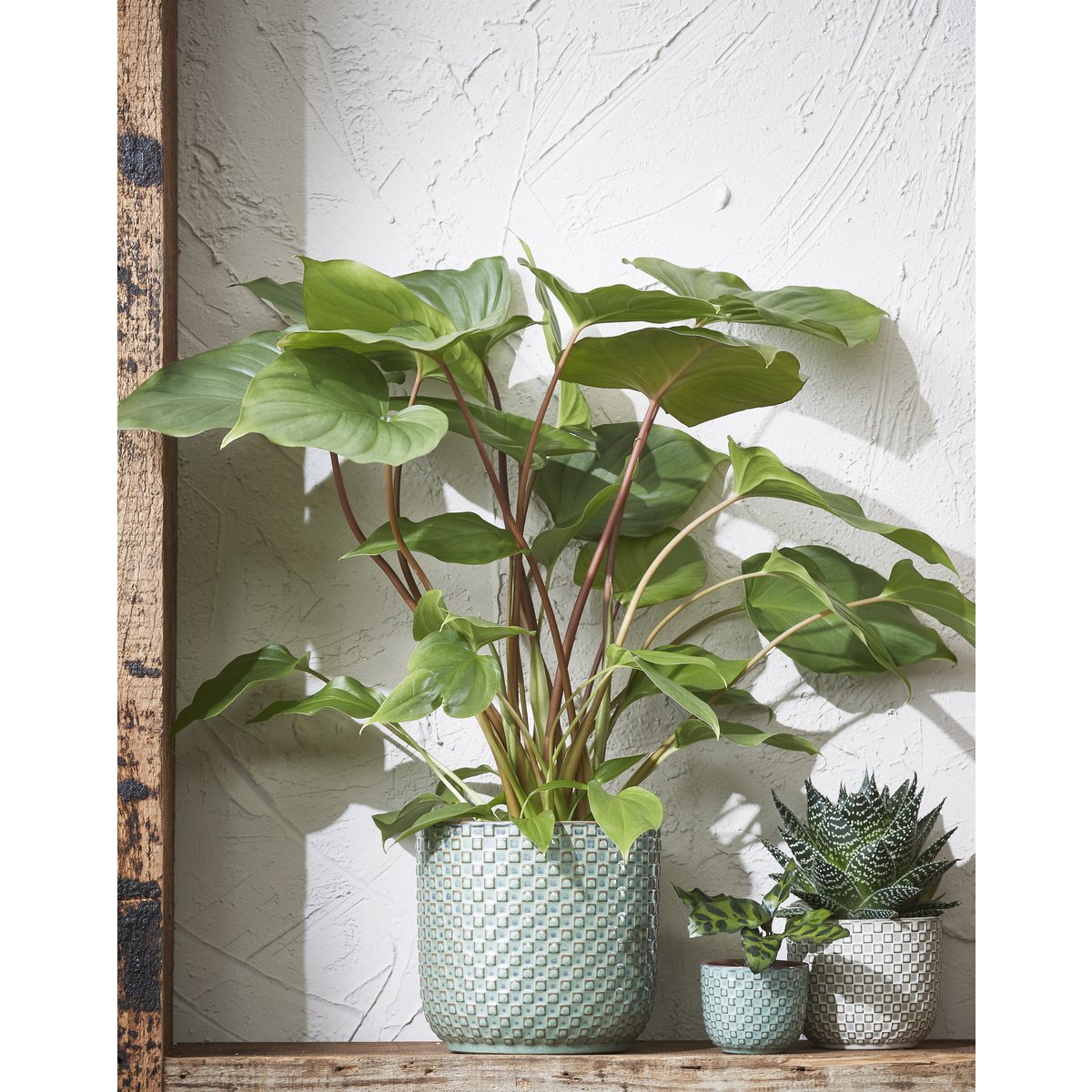 Flowerpot inside Daan Groen