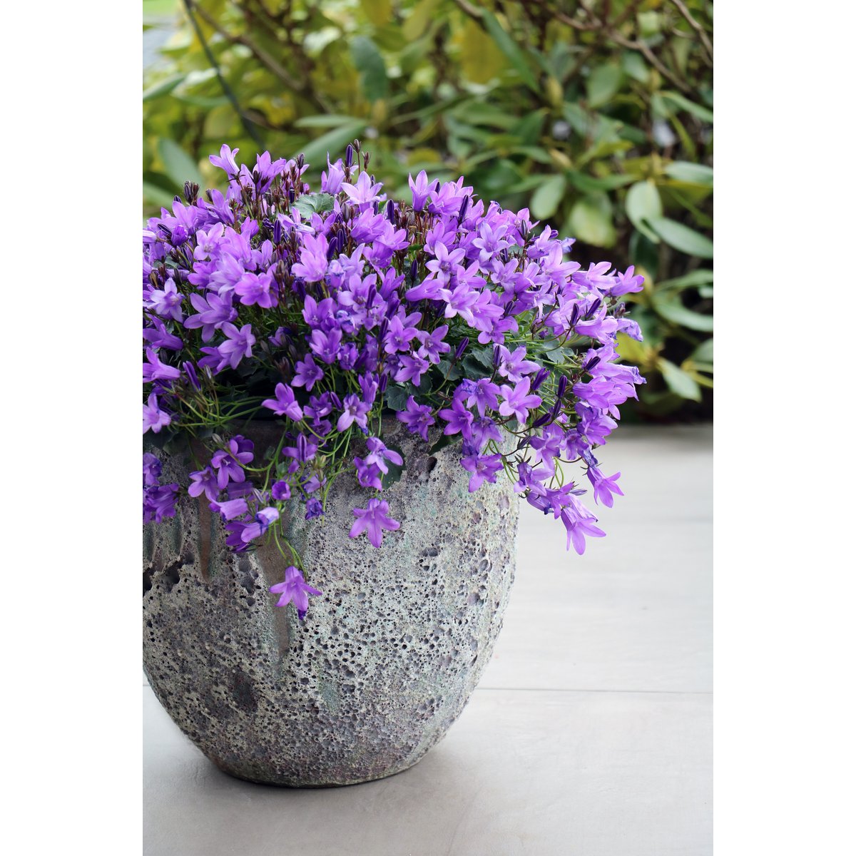 Plantenpot - Laki oceanic coral set Ø36/25 x H34/25 cm - (set van 2)