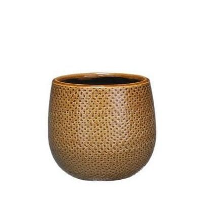 Pot Gabriel around Oker D14