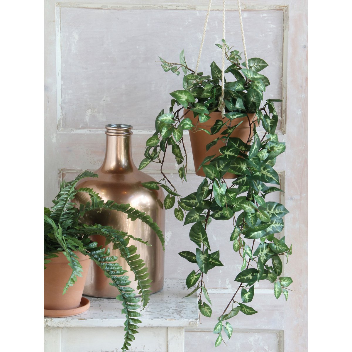 Artificial hanging plant Fittonia Green