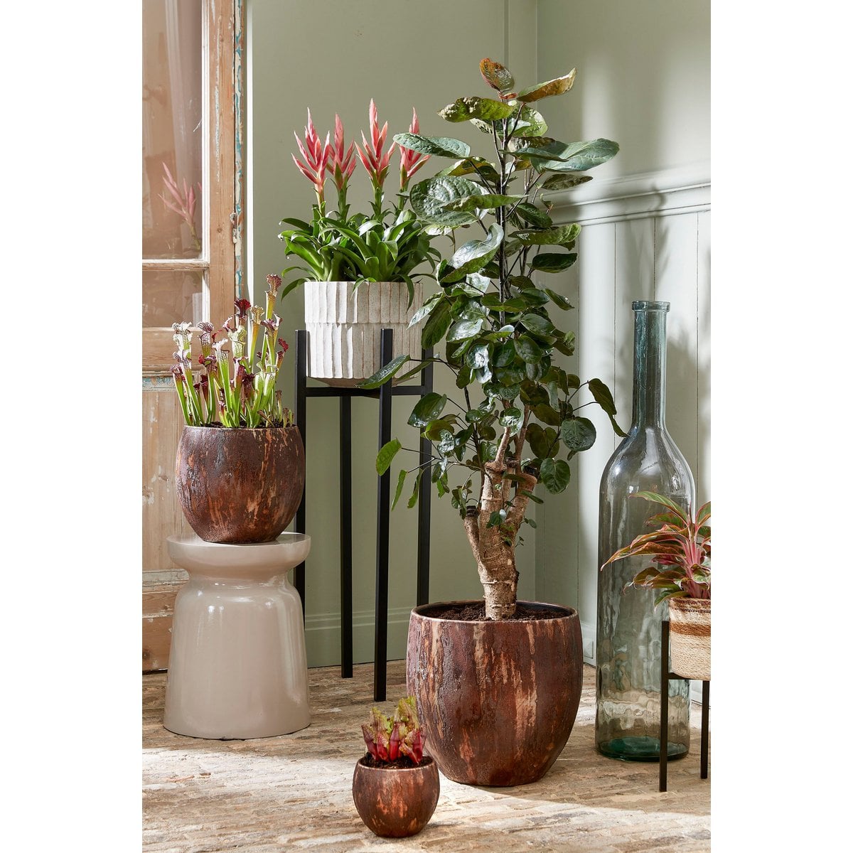 Plant stand Ascot Black