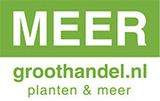 MEERgroothandel Planten