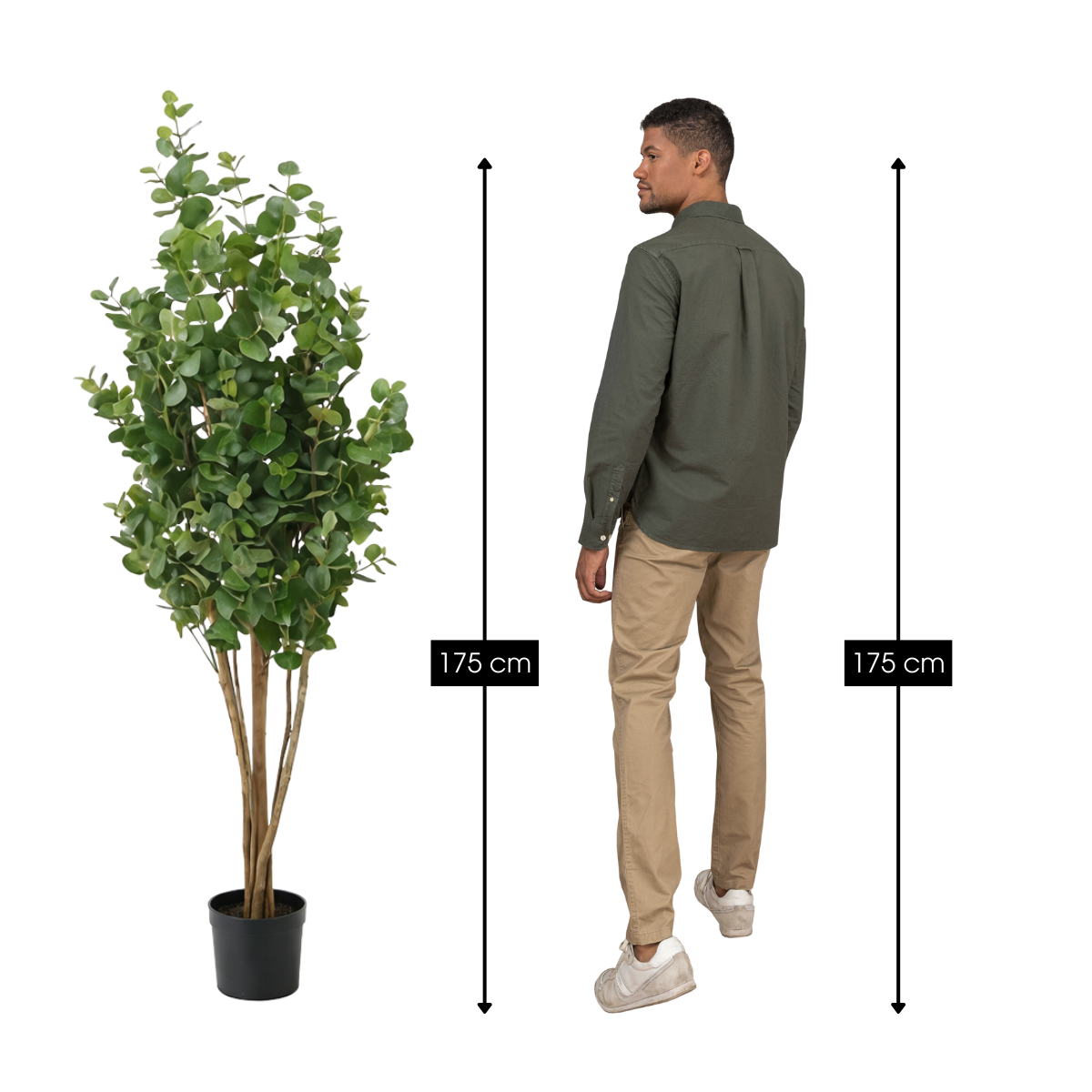 Artificial plant Eucalyptus tree Green
