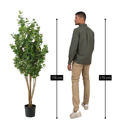 Artificial plant Eucalyptus tree Green