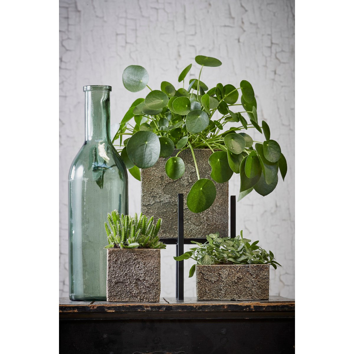 Decorative bottle of Rioja Gray