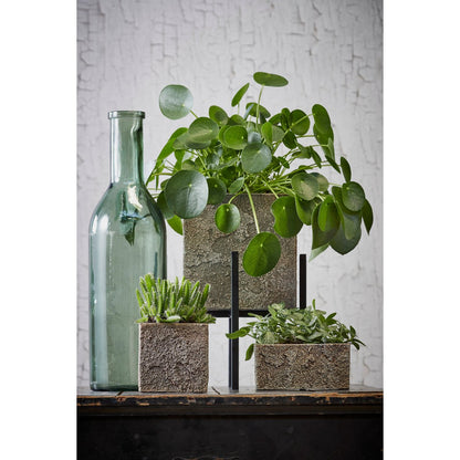 Decorative bottle of Rioja Gray