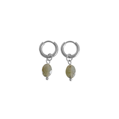 Labradorite Faceted Earrings - Silver