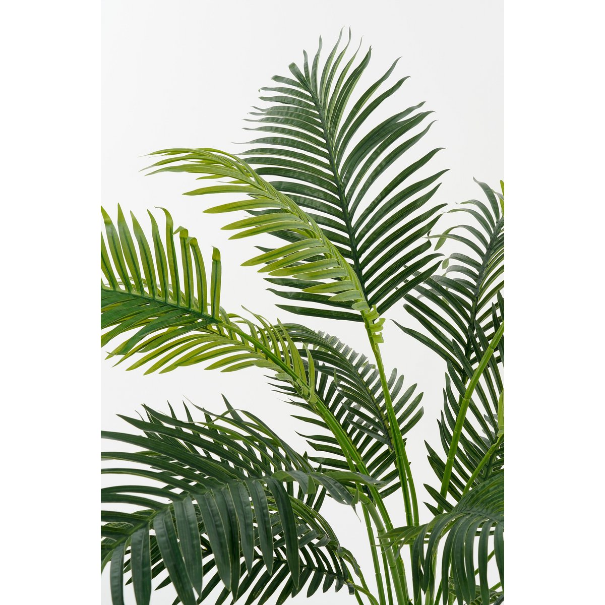 Artificial plant Areca palm Green