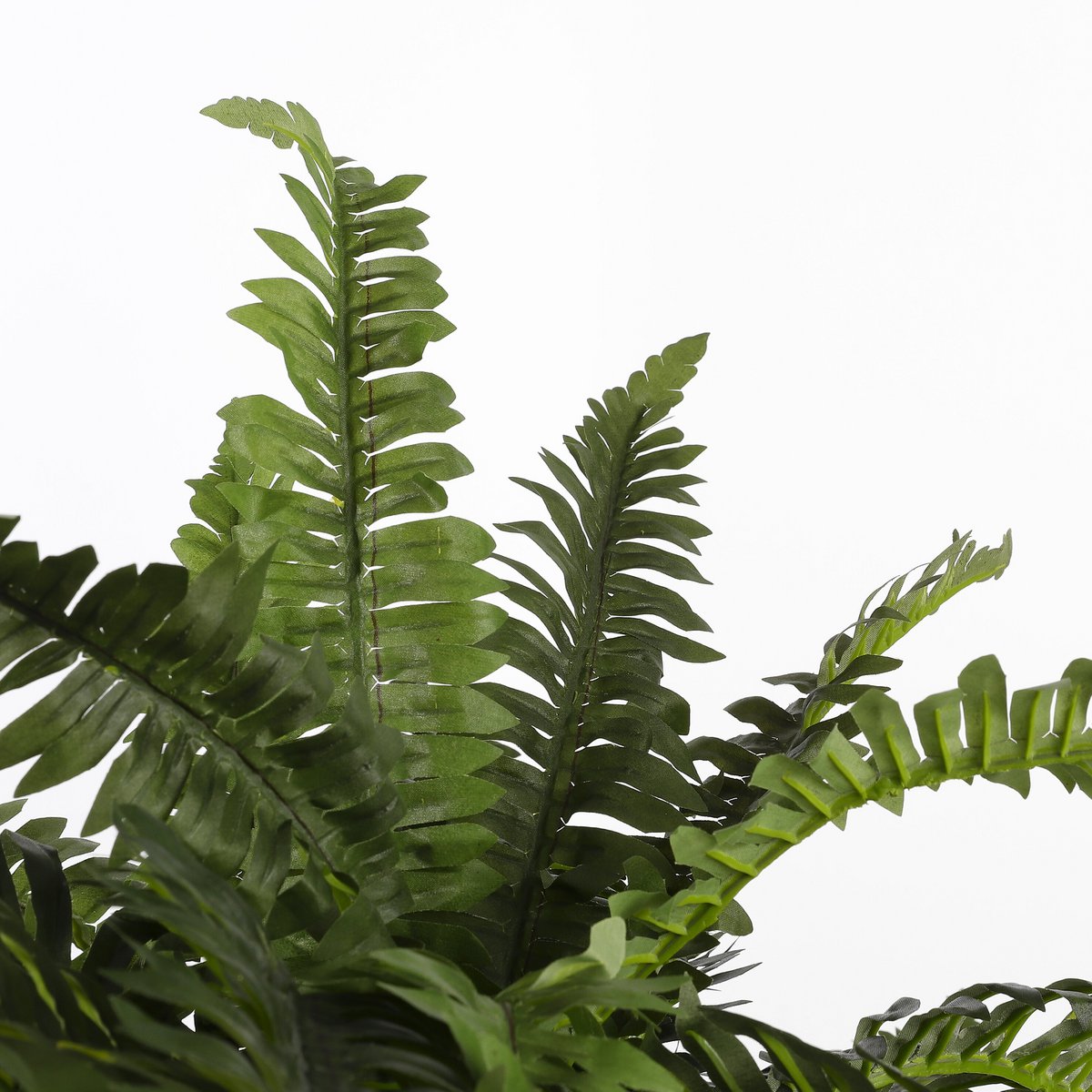 Artificial plant Fern Green