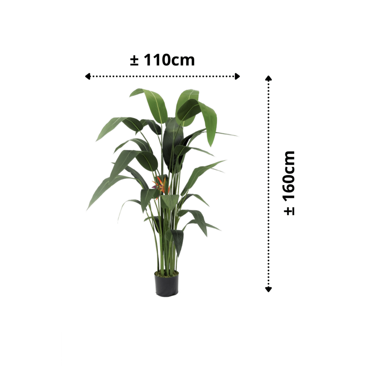 Artificial Strelitzia Plant With Flower 160cm