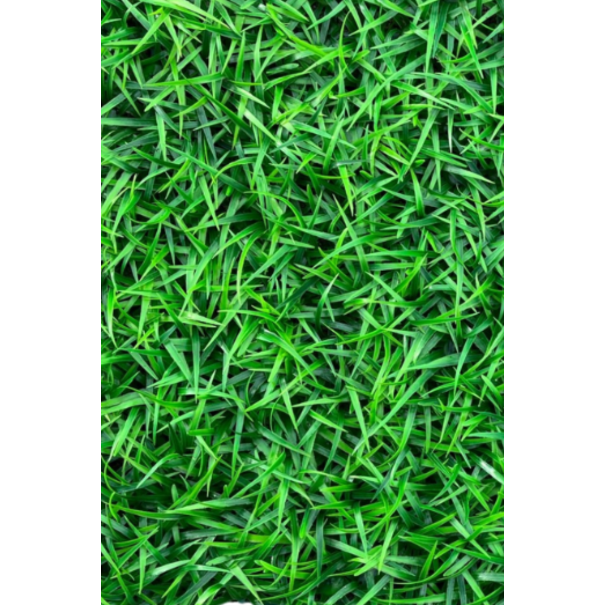 Artificial Hedge Grass 60x40cm