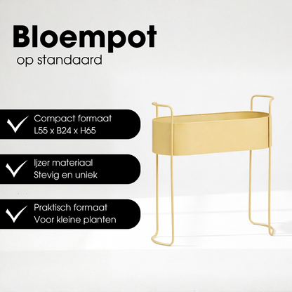 Flowerpot inside Moritz Beige