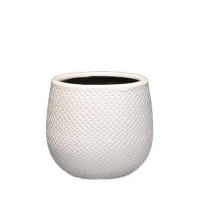Pot Gabriel around white D14