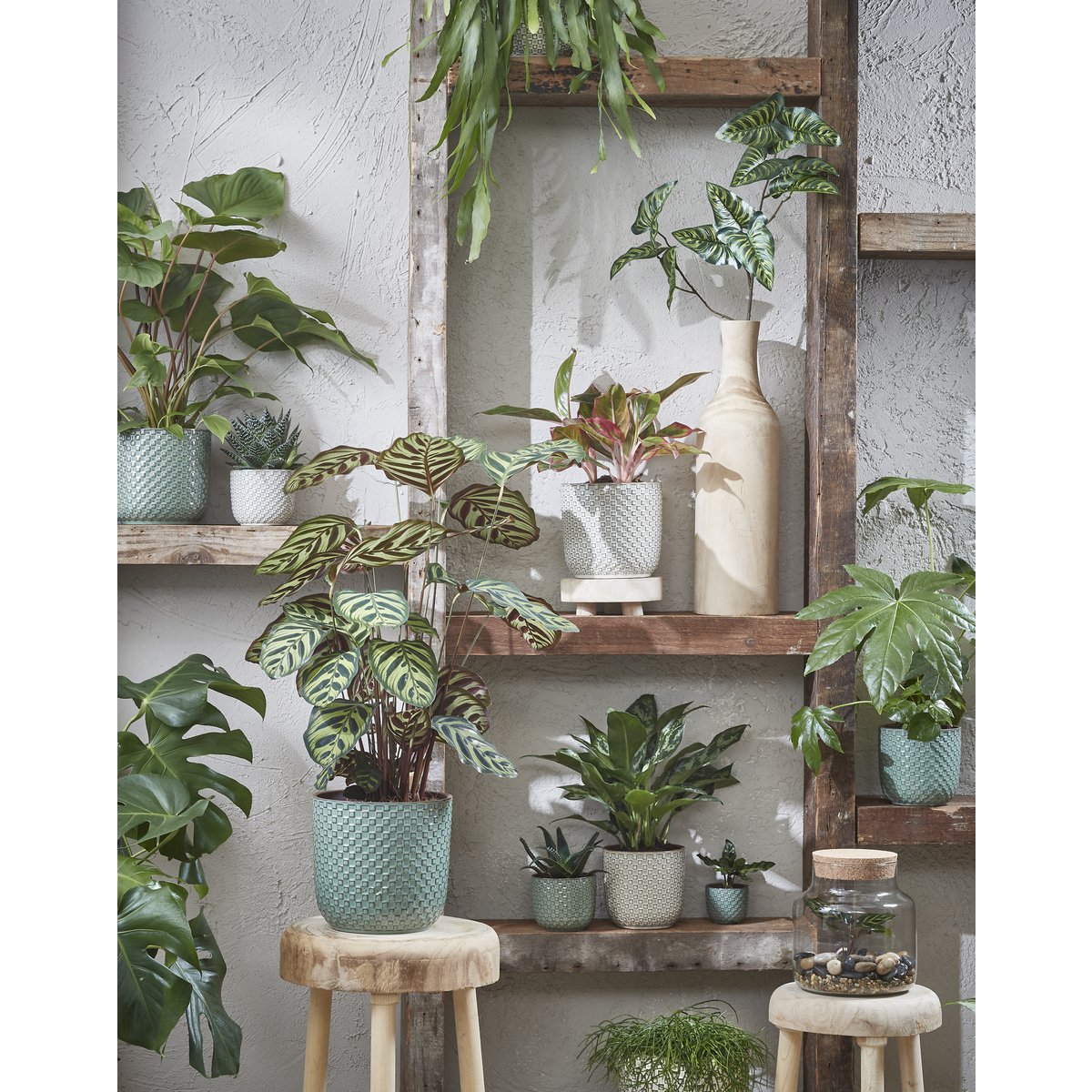 Flowerpot inside Daan Groen