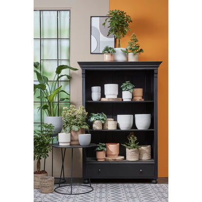 Plantenmand Atlantic Crème
