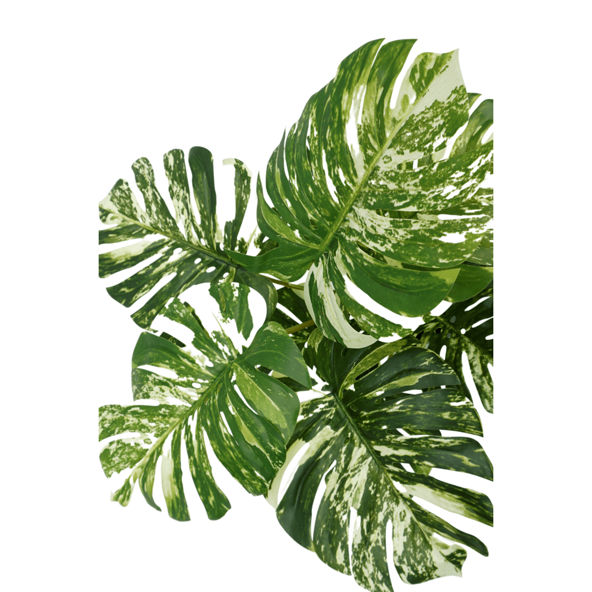 Monstera Artificial plant 75cm