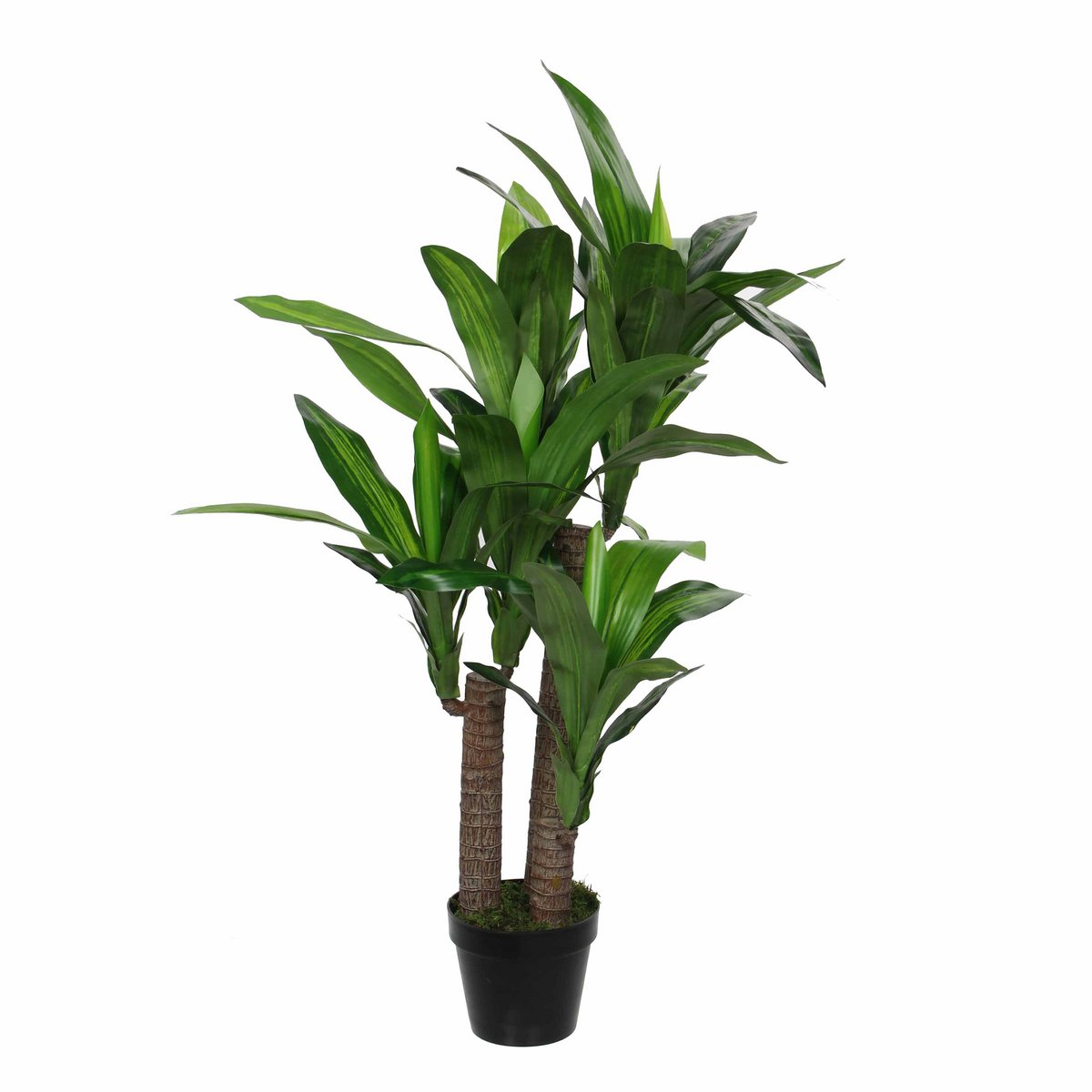 Artificial plant Dracaena Green