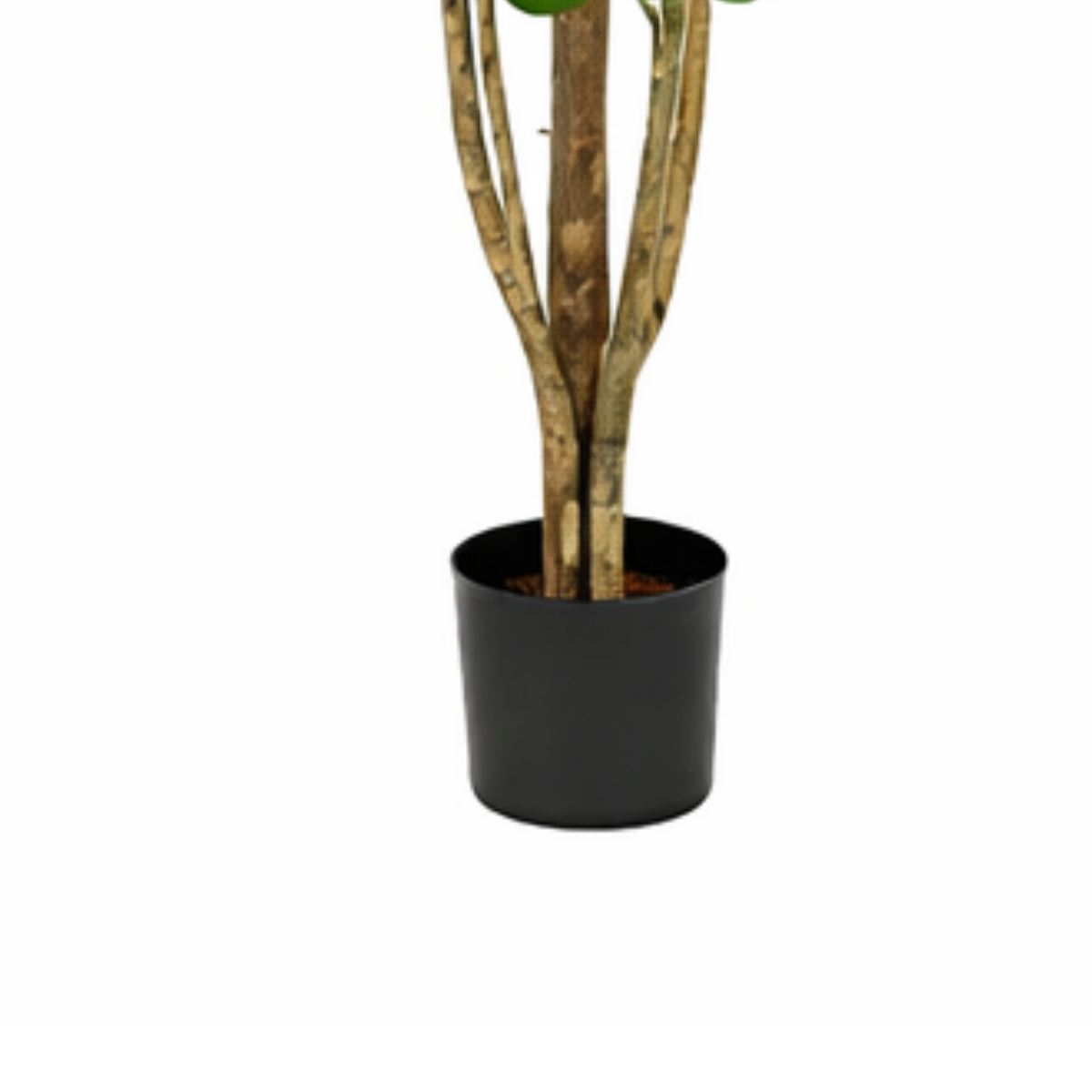 Artificial plant Eucalyptus tree Green