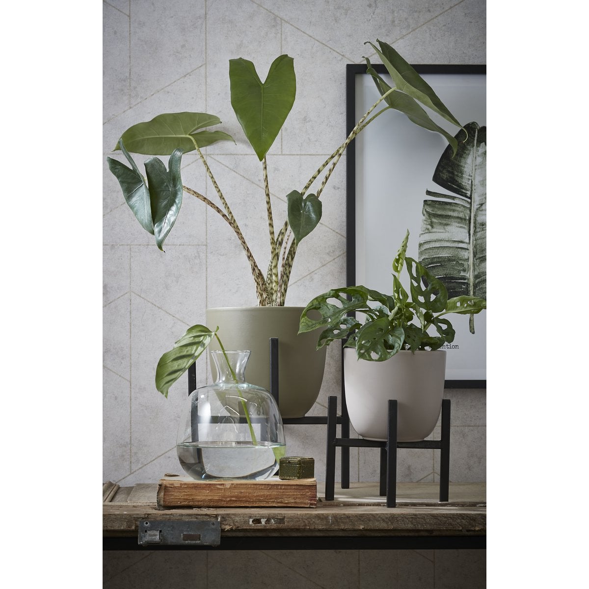 Plant stand Ascot Black