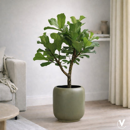 Plantenpot - Lampang pebble grey