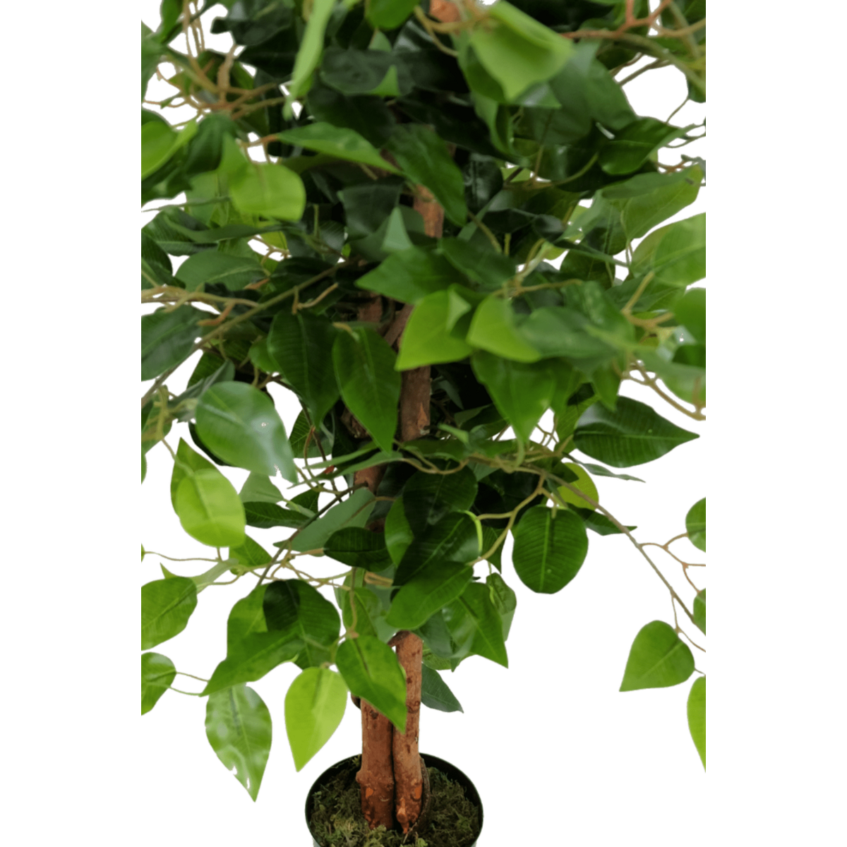 Artificial Ficus Tree 90cm