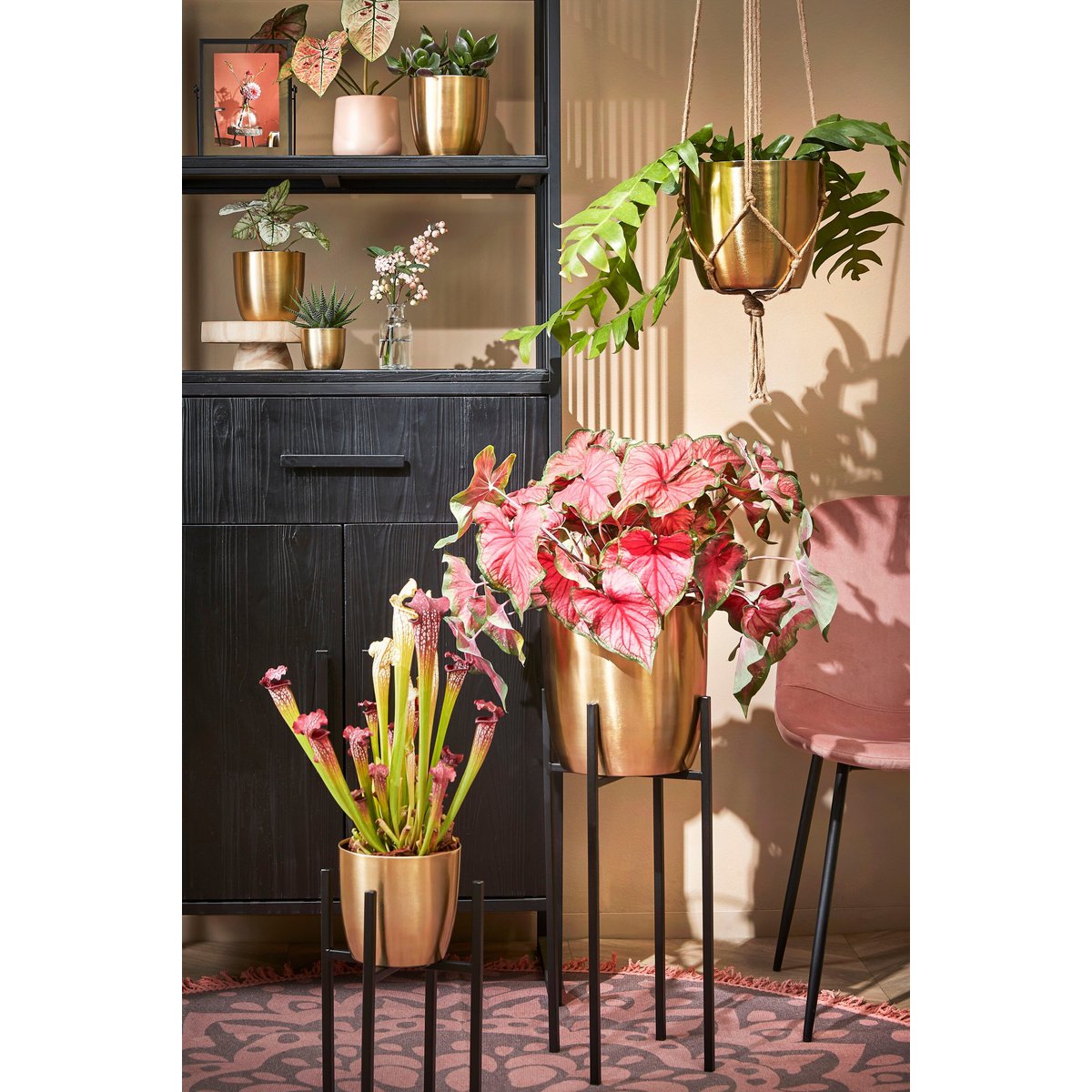 Flowerpot inside Alano Gold