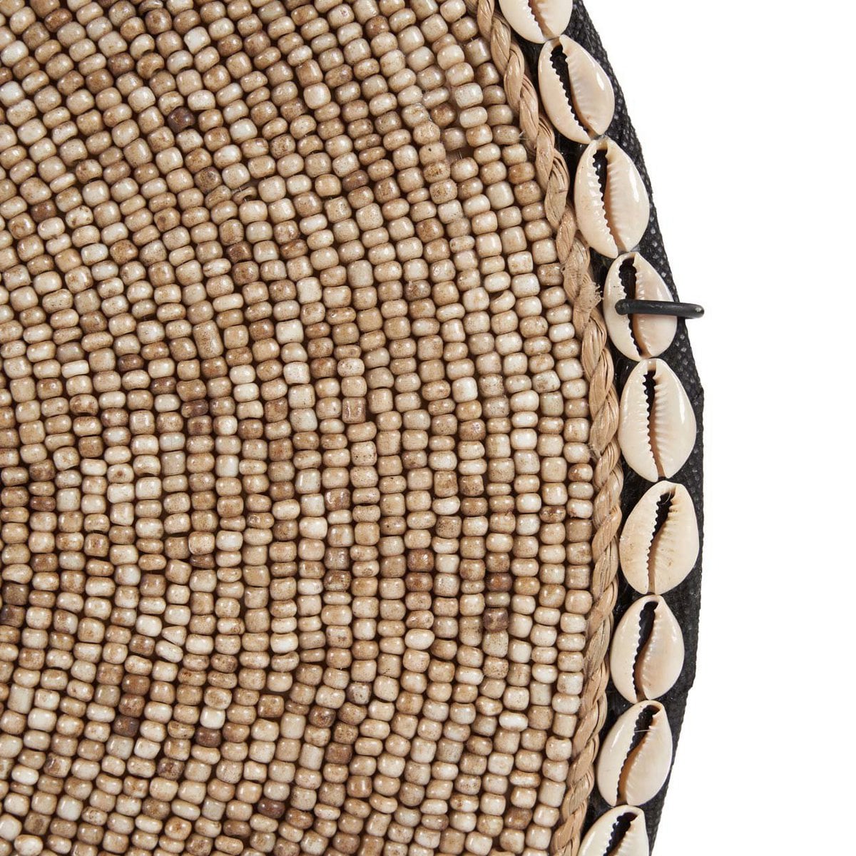The Shell Guadeloupe on Stand - Natural White