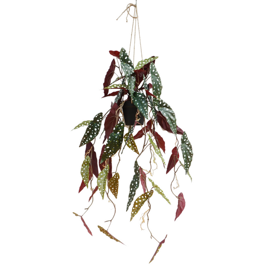 Begonia Maculata Artificial Hanging Plant 95cm