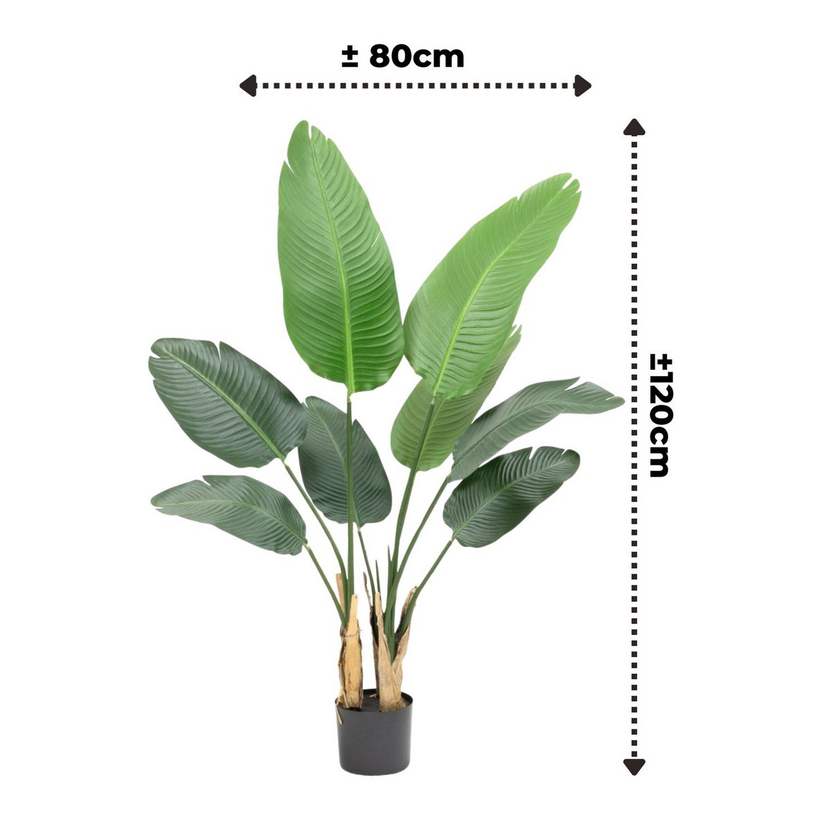 Artificial Strelitzia Plant 120cm