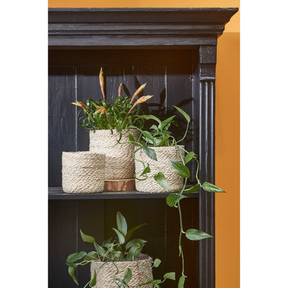 Plantenmand set Atlantic Crème