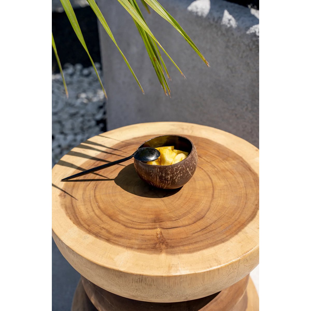 The Coco Food Bowl - Natural Black