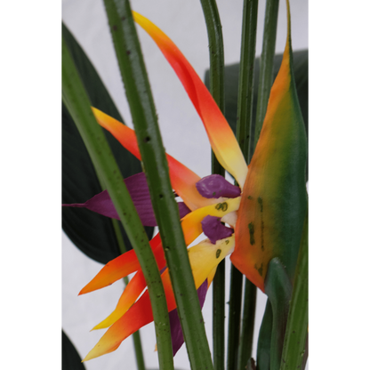 Artificial Strelitzia Plant With Flower 160cm