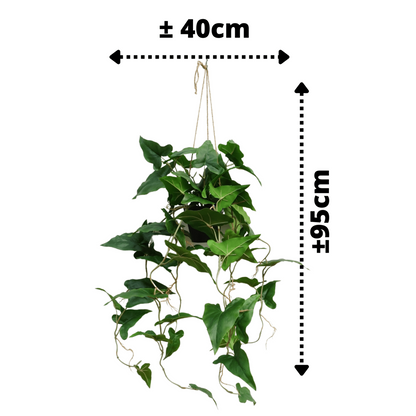 Typhonium Artificial Hanging Plant 95cm