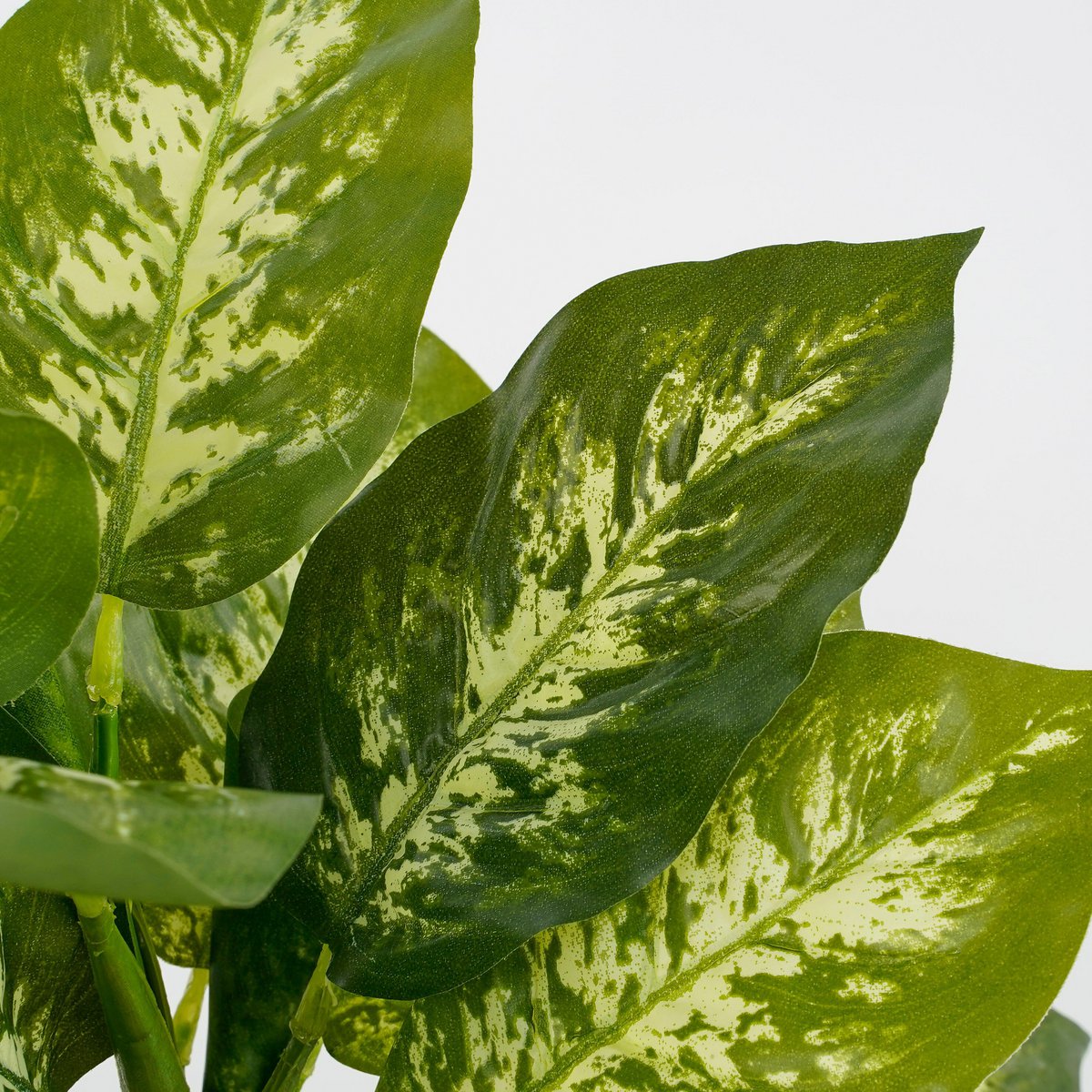 Artificial plant Dieffenbachia Green