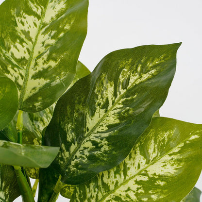 Artificial plant Dieffenbachia Green