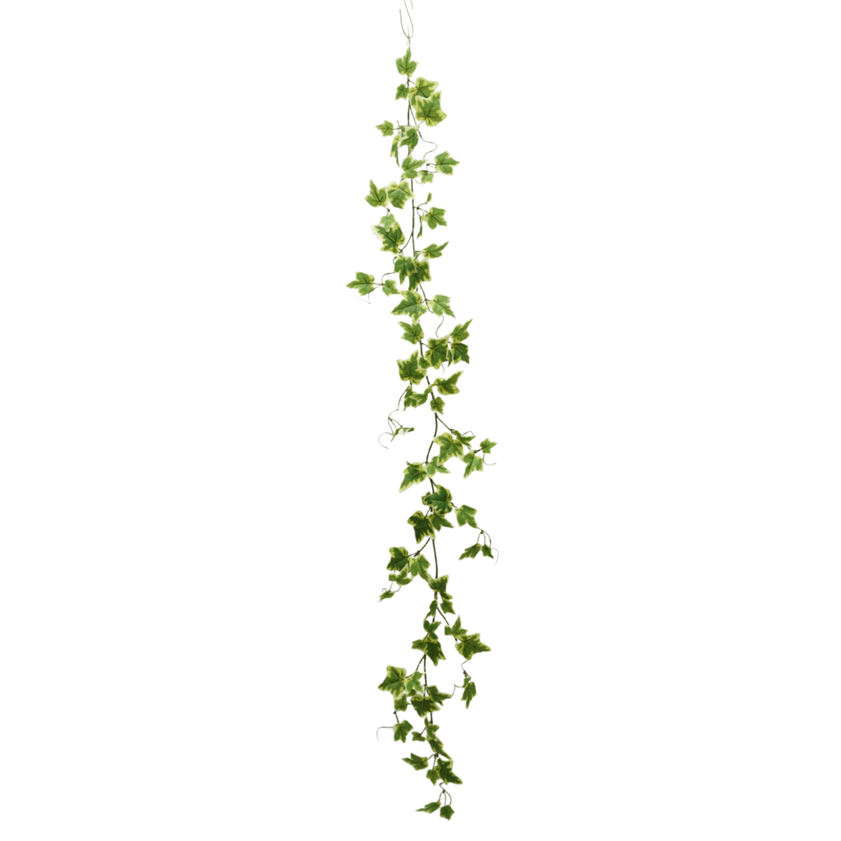 Hedera Artificial Garland 1 150cm (Garland)