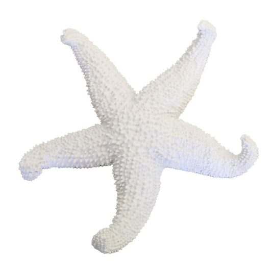 White Sea Star Decorative 24x24x5cm
