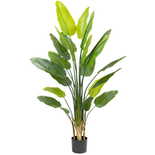 Artificial Strelitzia Plant 210cm