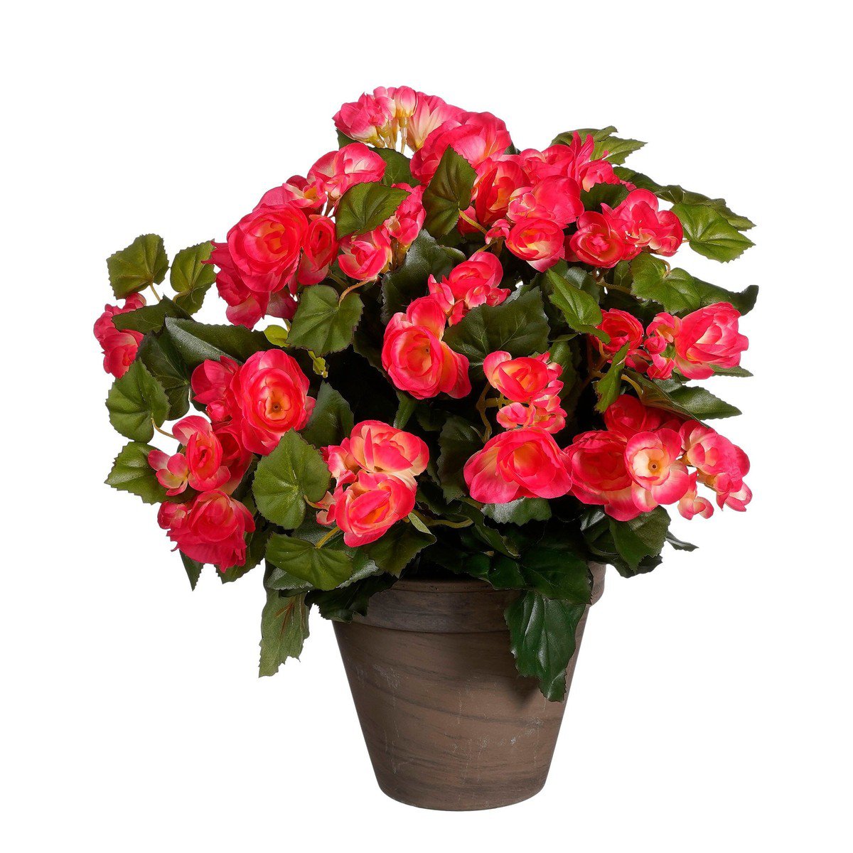 Artificial plant Begonia Dark pink