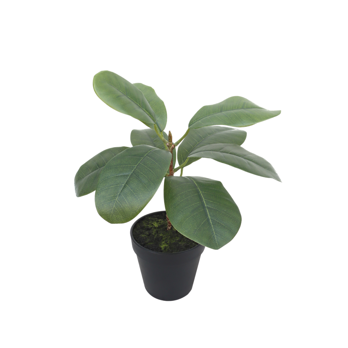 Ficus Artificial plant 35cm