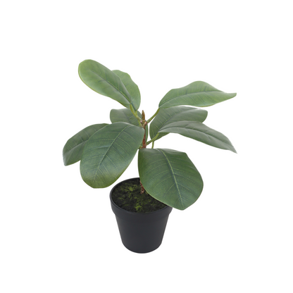 Ficus Artificial plant 35cm