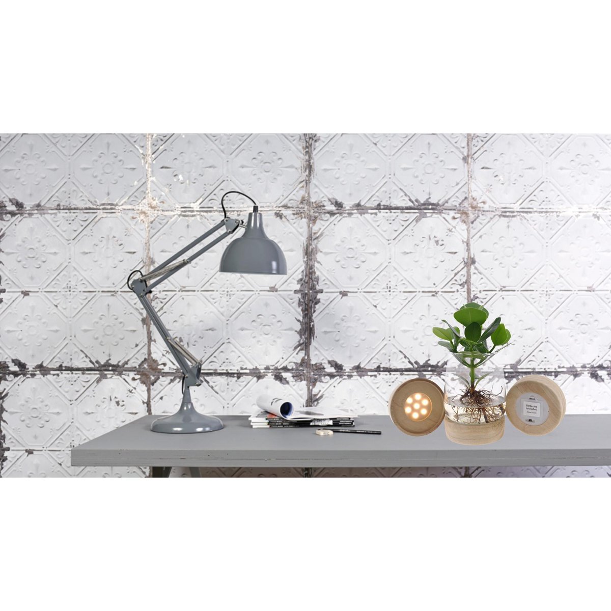 Clusia In Kingston Glas + LED - Ø12cm - ↕30cm